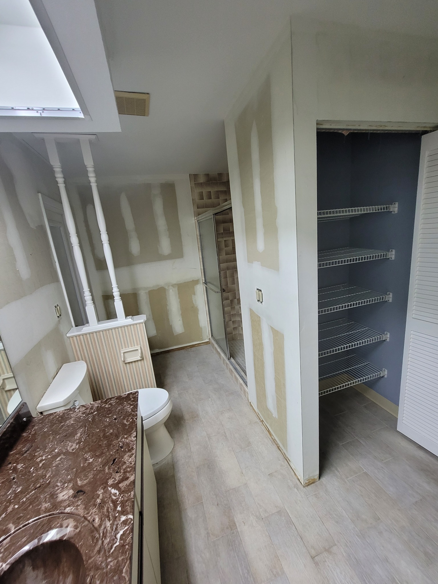 Bathroom and closet before renovation