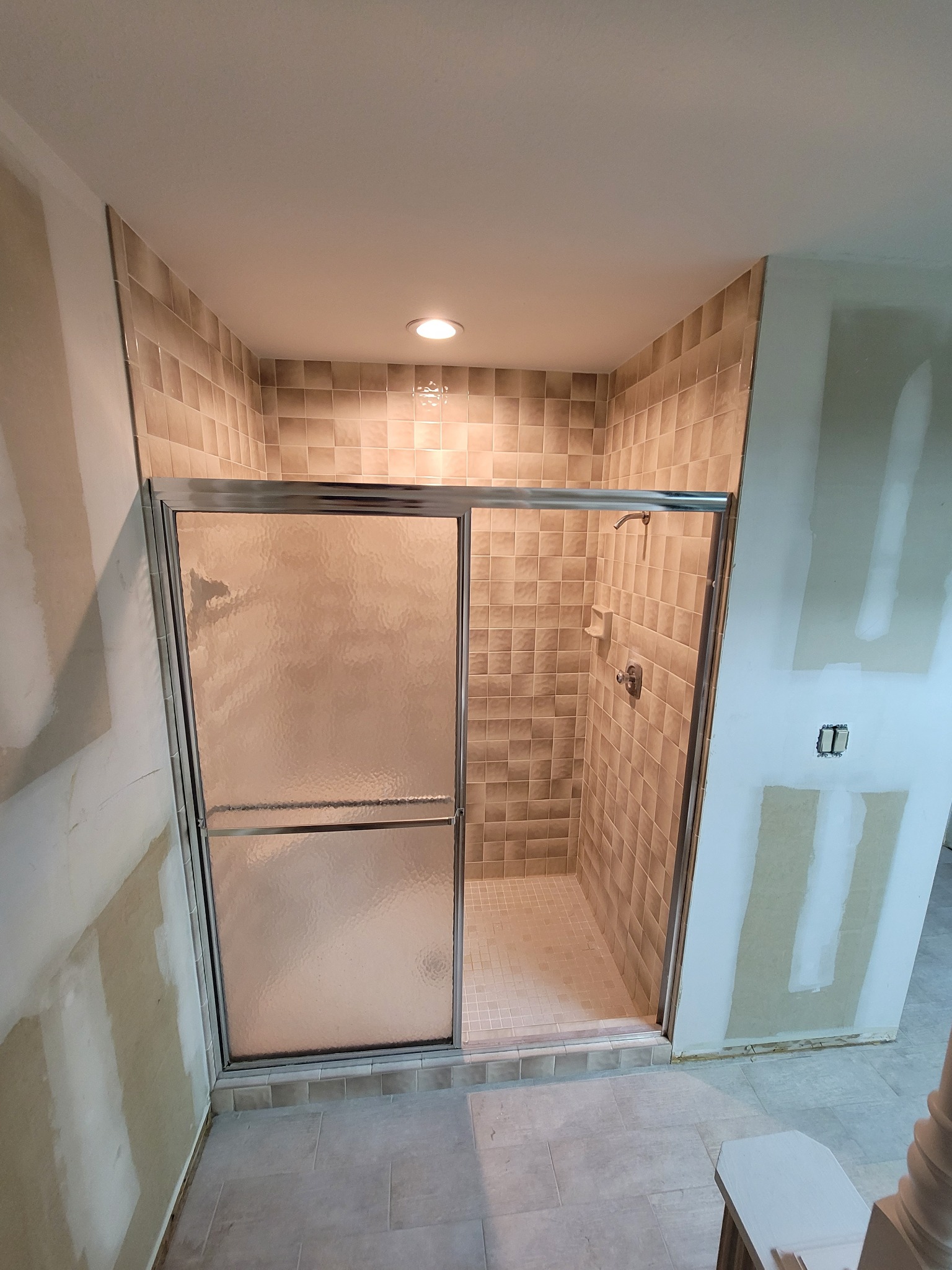 Original shower before renovation